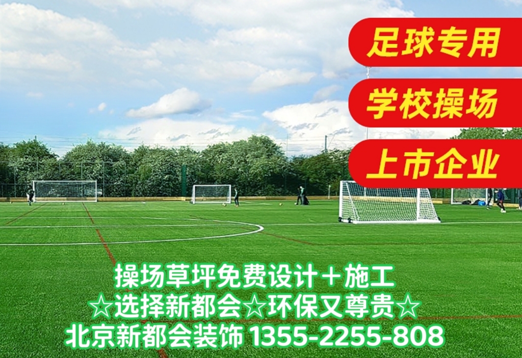 足球場環保草坪